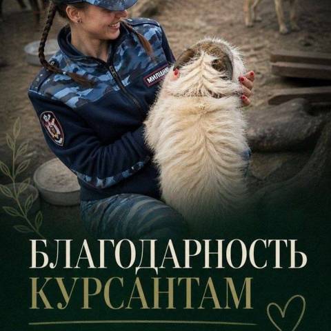 ПОМОЩЬ ОТ ЧИСТОГО СЕРДЦА